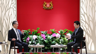 王毅会见新加坡第一副总理黄循财：愿同新方加强多边事务协调