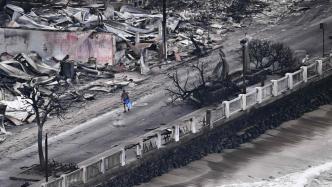 早安·世界｜夏威夷毛伊岛大火至少67人遇难，仍未完全控制