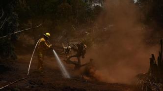 夏威夷州长期低估山火威胁造成灾害，消防称预防资金不足