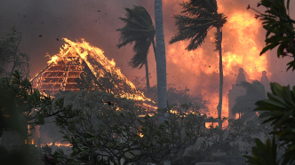 夏威夷山火或因电力公司基础设施受损引发