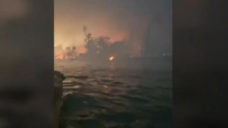 美国少年讲述夏威夷毛伊岛大火中跳海逃生过程