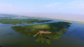 杭州钱塘大湾区湿地公园明年5月开园，可观测140多种鸟类