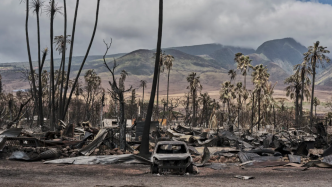 特写｜夏威夷山火：远走的原住民和他们的隐忧