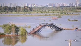 黑龙江发布黄色、蓝色山洪灾害气象风险预警
