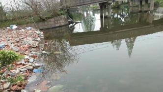 上海青浦一乡村河道成建筑废弃物投放区，河道渐窄为何无人管？