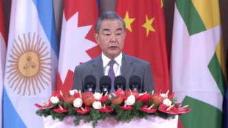 王毅出席中国一南亚博览会开幕式并致辞