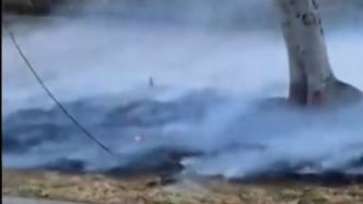 毛伊岛大火已致110人遇难，美媒：视频显示被吹倒的电线或引发大火