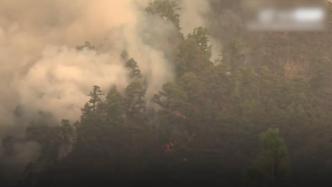 西班牙特内里费岛发生森林火灾，过火面积超1800公顷
