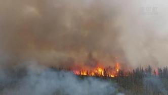 野火肆虐，加拿大西北地区进入紧急状态