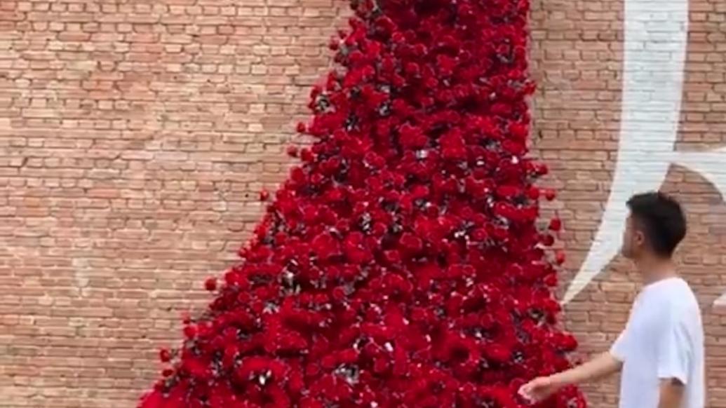 成都七夕浪漫氛围起来了，东郊记忆红砖墙开出超大片玫瑰花瀑
