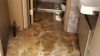 “满地粪水地板都漂起来了”，上海松江一精装房变“化粪池”