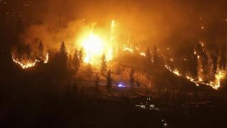 加拿大西部山火持续燃烧，不列颠哥伦比亚省宣布进入紧急状态