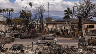 毛伊岛85%受灾区域搜寻已完成，仍有千余人下落不明