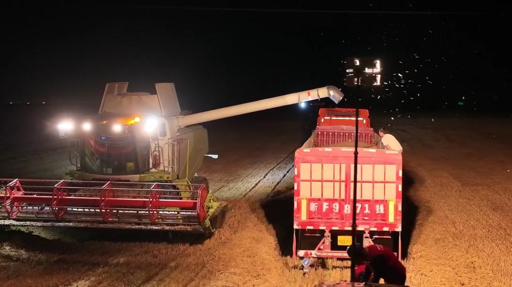 即將下雨農(nóng)戶連夜搶收小麥，電力工人在田里提供照明