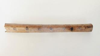 七千年前的骨笛与钻木取火器 ，在江苏兴化被发现