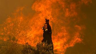 直击｜希腊多地野火肆虐，高温和强风助推火势迅速蔓延