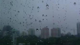 上海暴雨蓝色预警、雷电黄色预警高挂，防汛防台四级响应启动