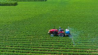 刘国中：全力以赴抓好秋季农业生产，为推动经济运行持续向好提供保障