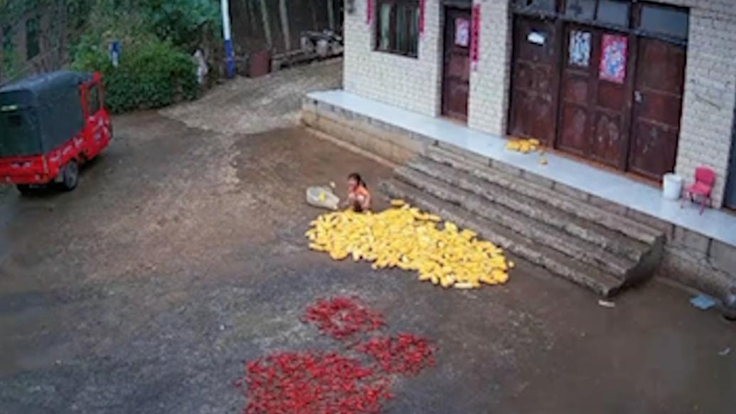 突然下雨，4岁女孩独自在家边哭边收玉米