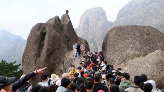 黄山旅游：上半年进山人数同比上升527%，净利润扭亏为盈