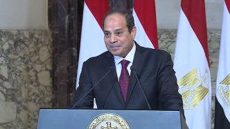 埃及总统：提高“全球南方”声音，促进发展中国家权益