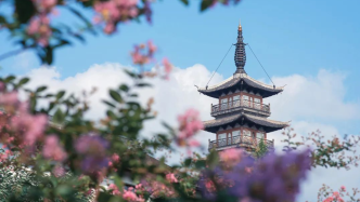 上海嘉定800多年历史法华塔结束修缮，8月28日重新开放