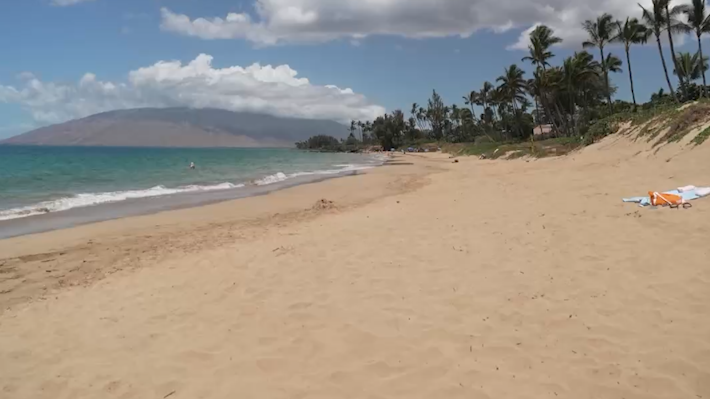 游客锐减，夏威夷毛伊岛旅游业遭受重创