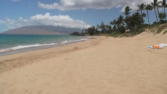 游客锐减，夏威夷毛伊岛旅游业遭受重创