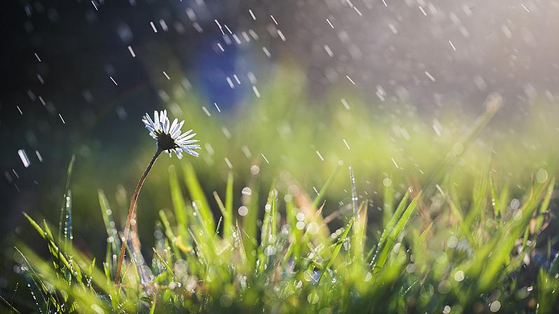 今日全国仍有分散强降雨，明起本轮降雨进入尾声