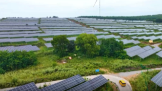 陕西咸阳：新能源开发建设持续推进