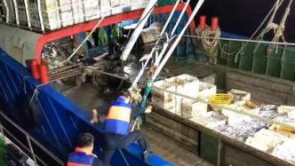 浙江22艘违规作业渔船被查，非法捕捞渔获物共计400余吨