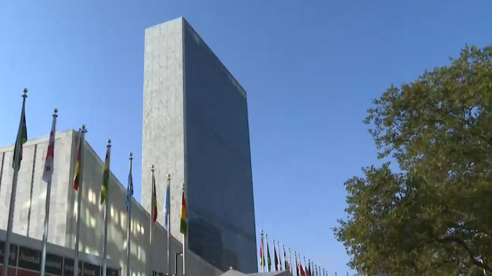 联合国秘书长：强烈谴责一切在叙利亚的暴力行为