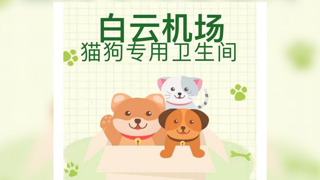 國內(nèi)首創(chuàng)，廣州白云機(jī)場為托運(yùn)寵物設(shè)置專廁