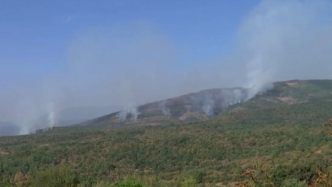 希腊东北部林火持续燃烧11天仍未受控