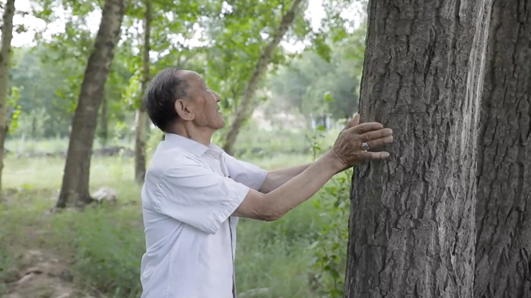 植绿老人贾登科：坚持36年，种植超一万亩树林