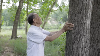 植绿老人贾登科：坚持36年，种植超一万亩树林