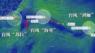 三台风“共舞”太平洋，“苏拉”或将于明日登陆