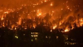 林火持续，加拿大不列颠哥伦比亚省延长紧急状态至9月14日