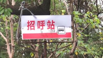 上海这条公交专线“招呼站”被取消，不便居民通勤？回应来了