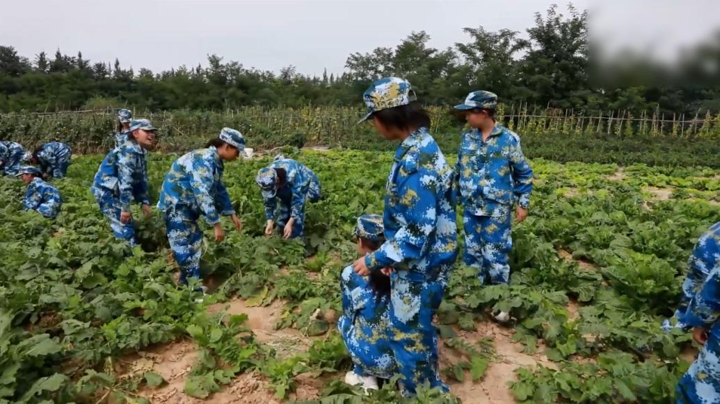 陜西延安：“勞動+軍訓”開啟開學第一課