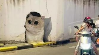 百万网友围观的猫咪涂鸦仅4天就被恶意损毁
