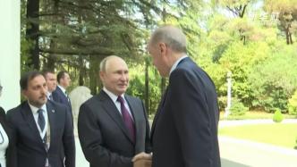 俄土首脑在索契会晤，黑海港口农产品外运协议有望恢复？