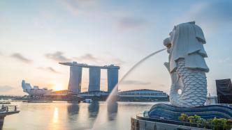 观察｜新加坡总统选举：“金库看门人”或“民众风向标”，谁被看好？