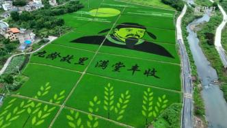 80亩稻田画绘出“九龄名相”