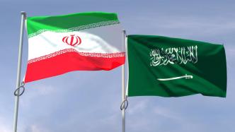 沙特新任驻伊朗大使抵达伊朗首都德黑兰