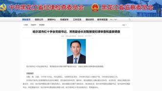 哈尔滨市红十字会党组书记、常务副会长刘智接受审查调查