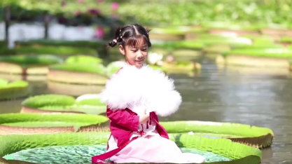 王蓮竟能托起一個人，它承重的秘密是什么？