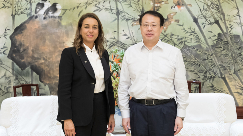 龚正市长会见比利时企业,上海将提供一流环境,主动服务、无事不扰、有求必应_浦江头条_澎湃新闻-The Paper