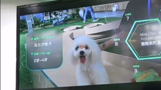 刷脸识狗！宠物生物信息识别系统亮相上海外滩大会
