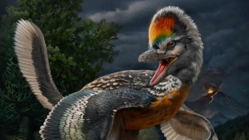福建首次发现恐龙化石，奇异福建龙填补鸟类起源部分空白